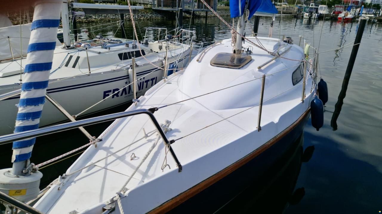 Sirius Waran 28