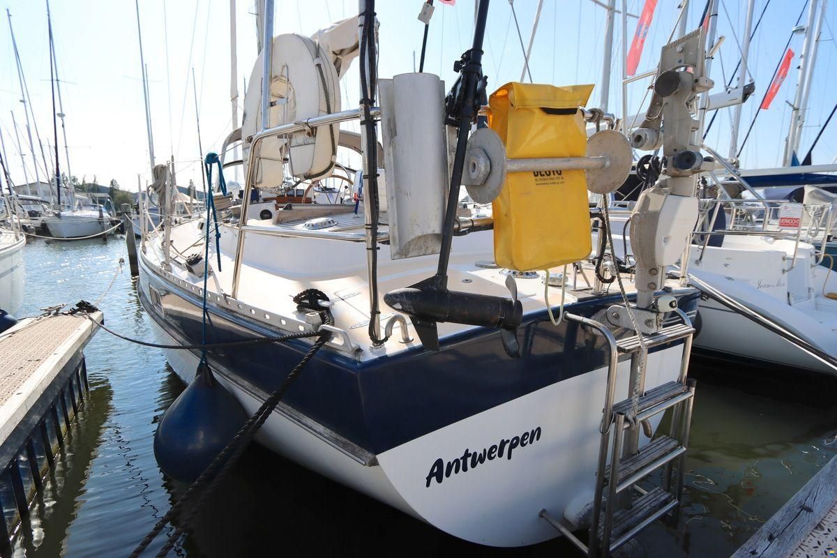 Trintella 38