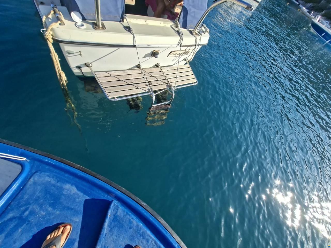 Coronet Family 24