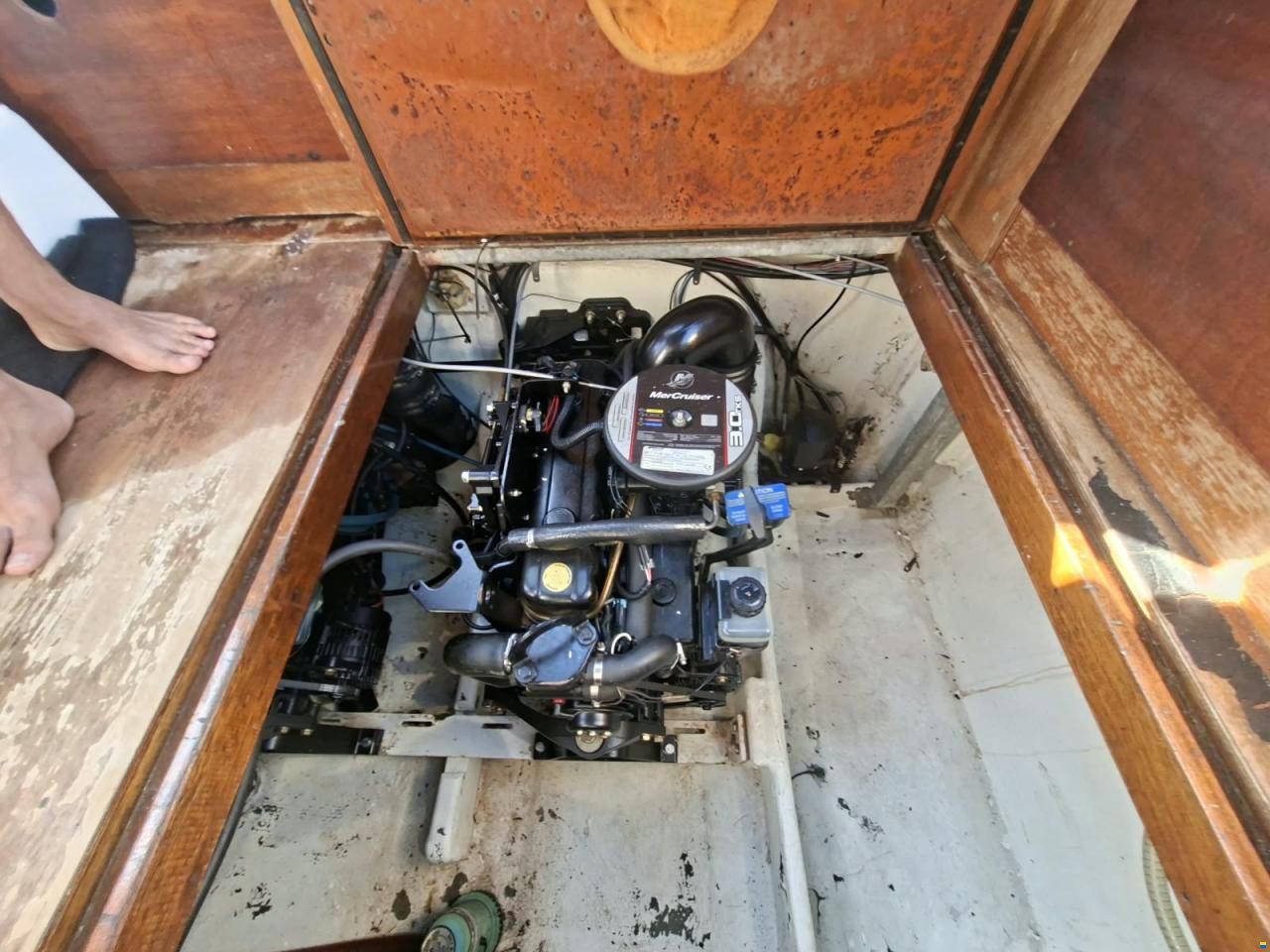 Coronet Family 24