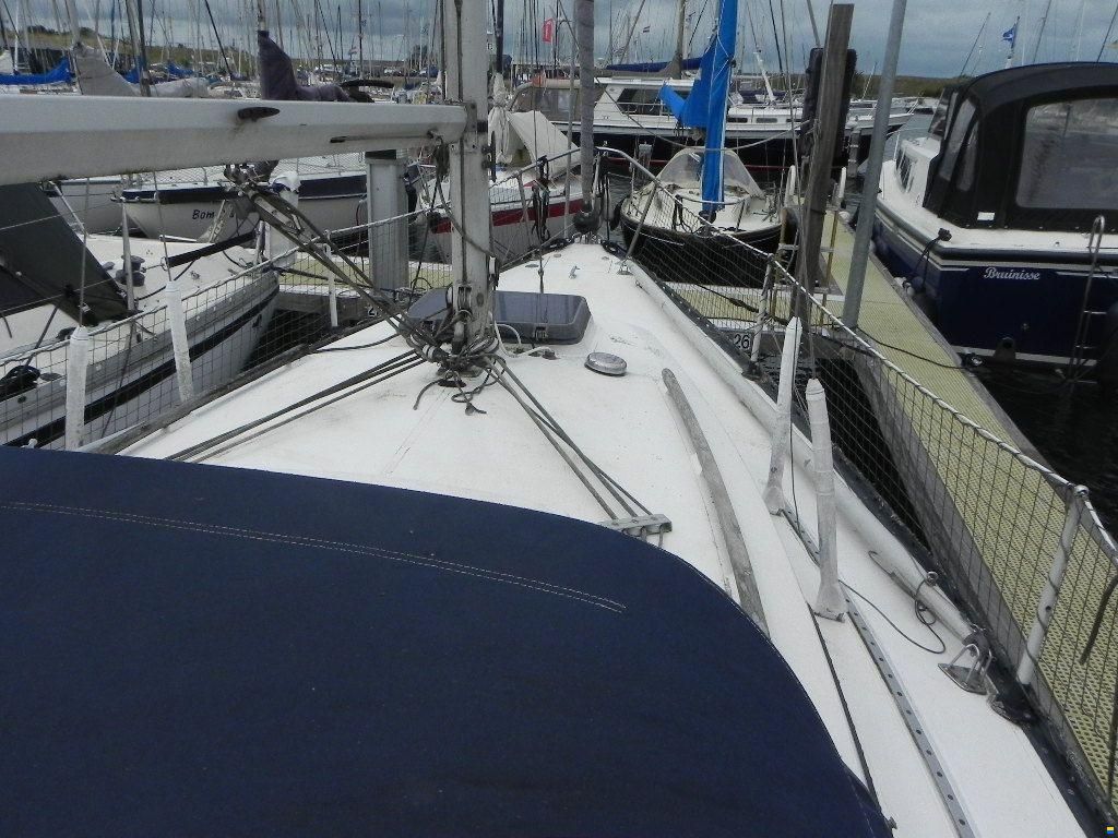 Standfast Loper 27