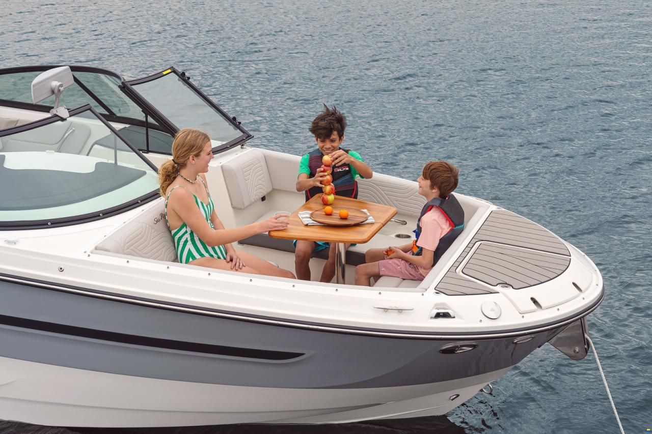 Sea Ray SDX 270 Surf