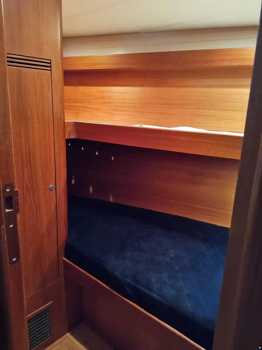 Contest 50 CS