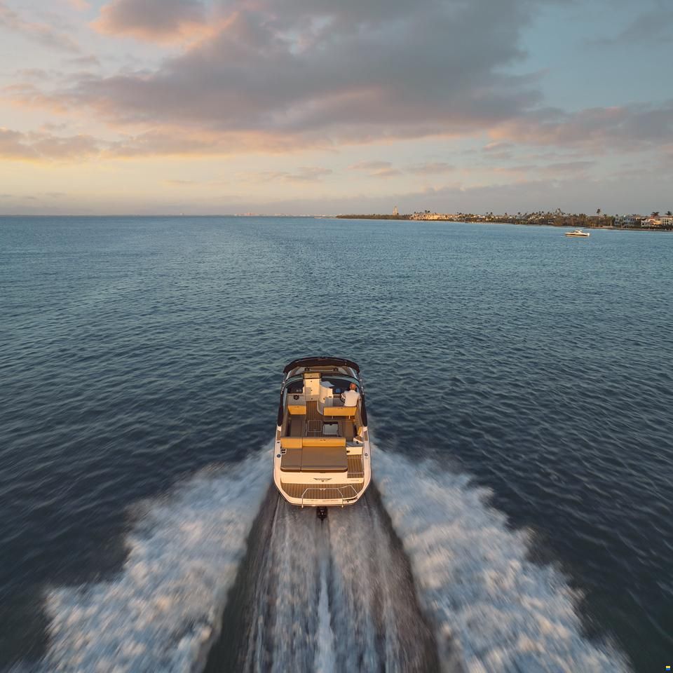 Sea Ray SDX 270