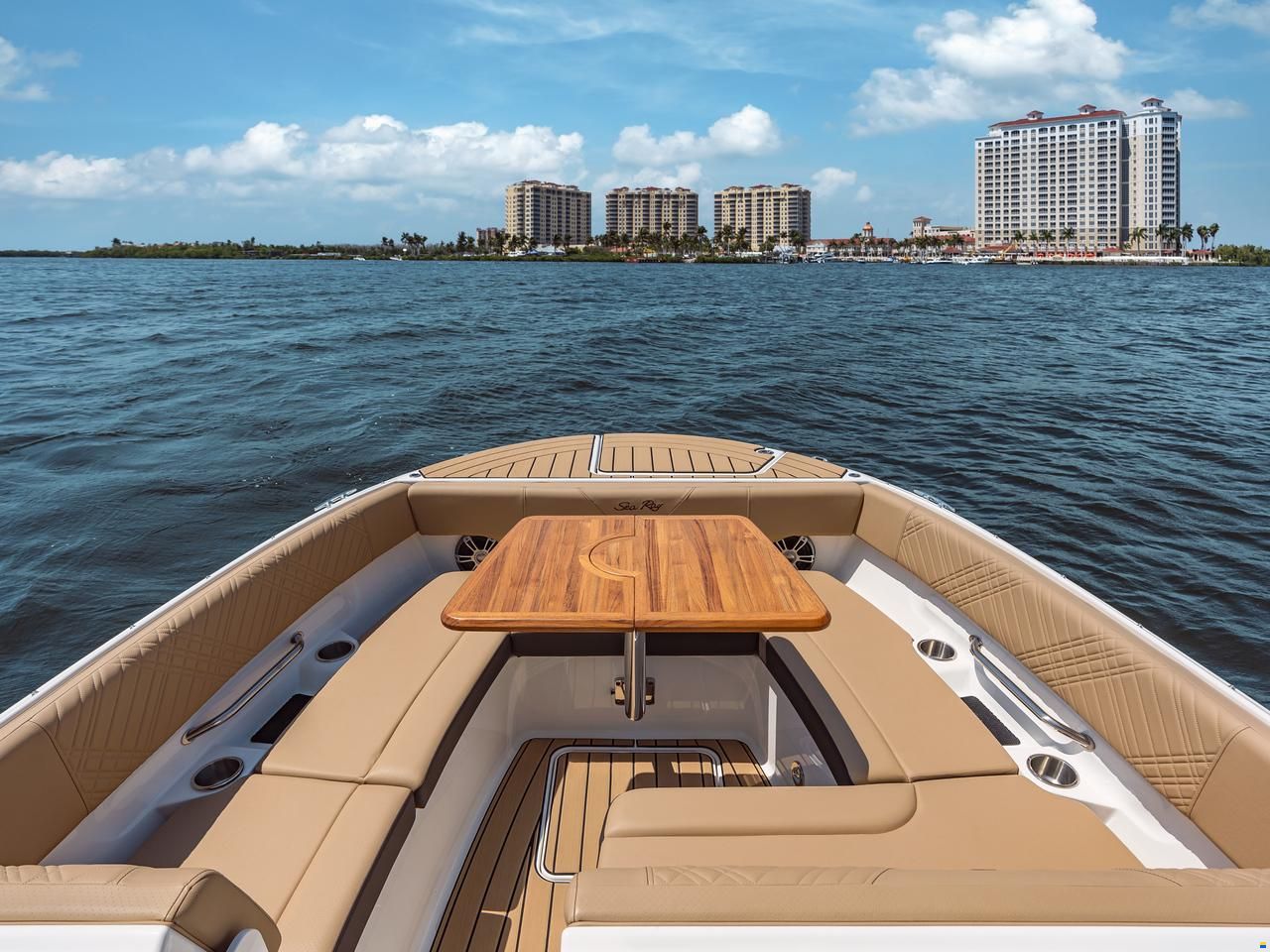 Sea Ray SDX 270
