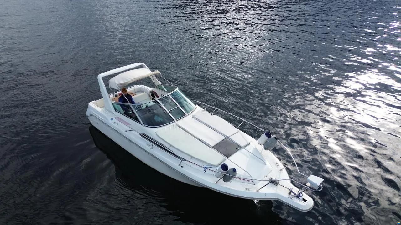 Sea Ray 270 DA