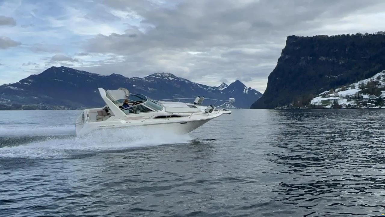 Sea Ray 270 DA