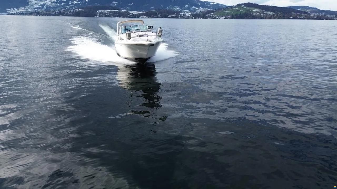 Sea Ray 270 DA