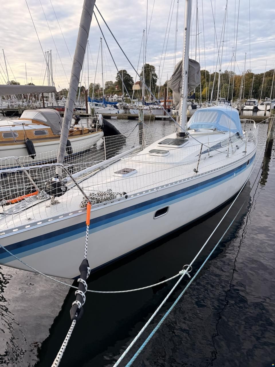 Luffe 37