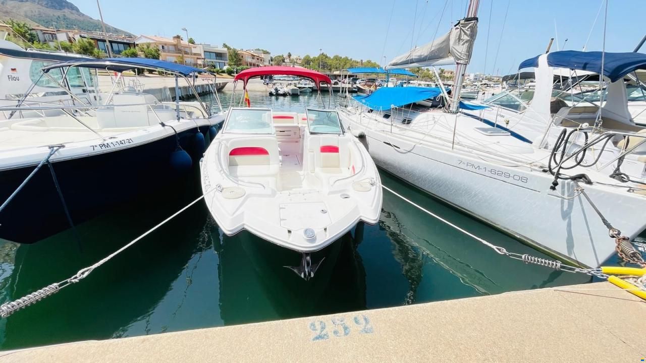 Chaparral 284 Sunesta