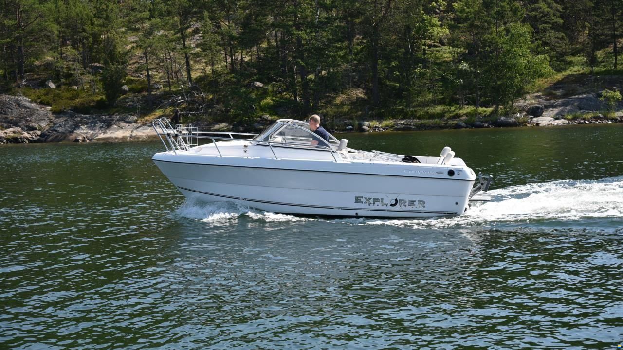 Campion 552i