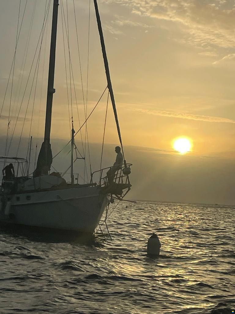 Mc Connel Marine Ltd Custom Pilot Cutter