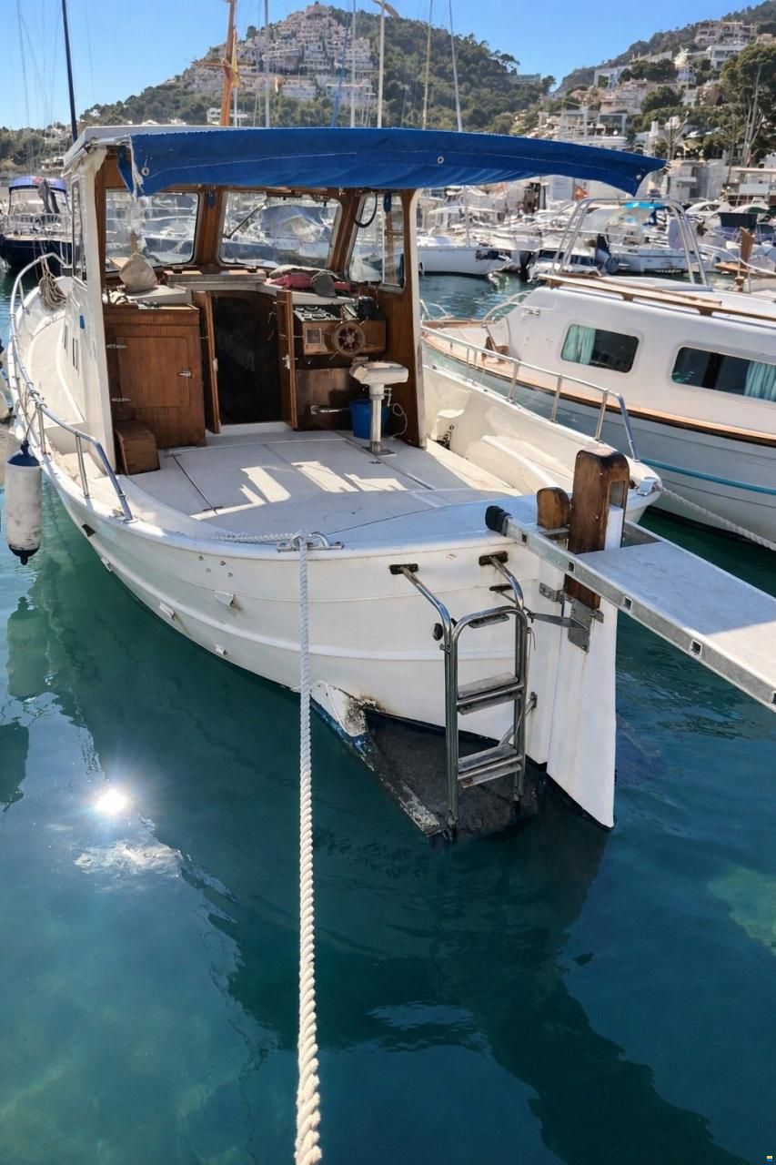 Copino 44