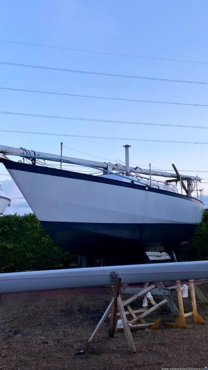Classic Yacht Classic Kliever 11