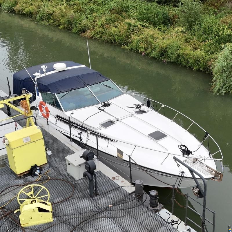 Sea Ray 390 Express