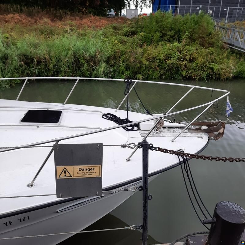 Sea Ray 390 Express