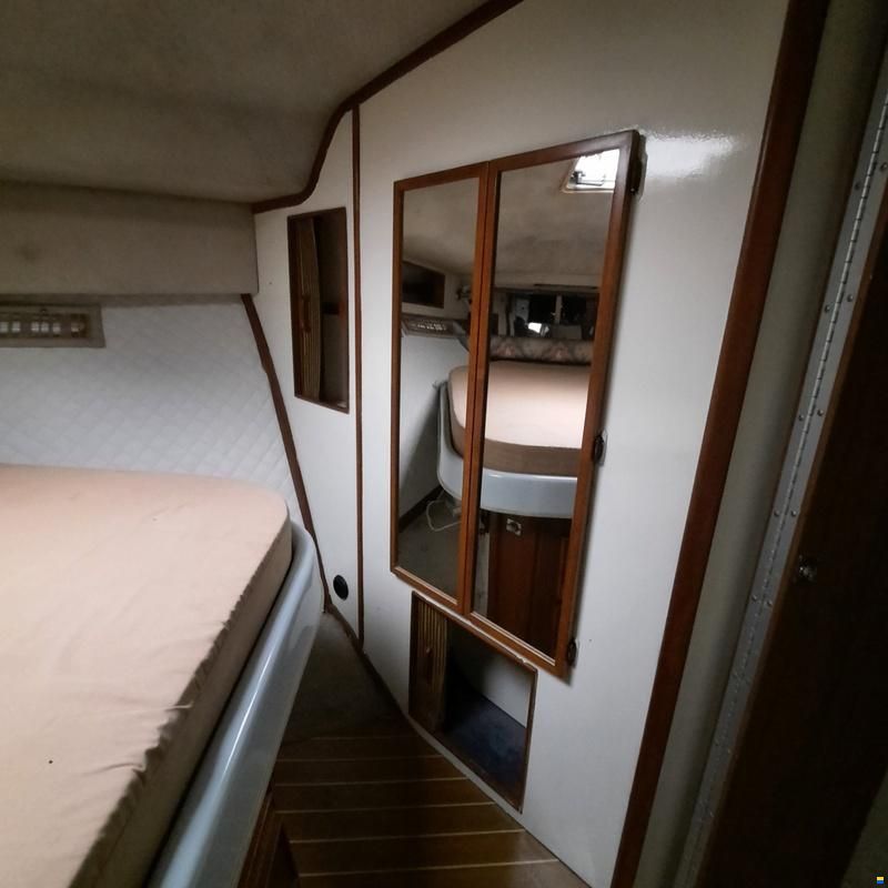 Sea Ray 390 Express