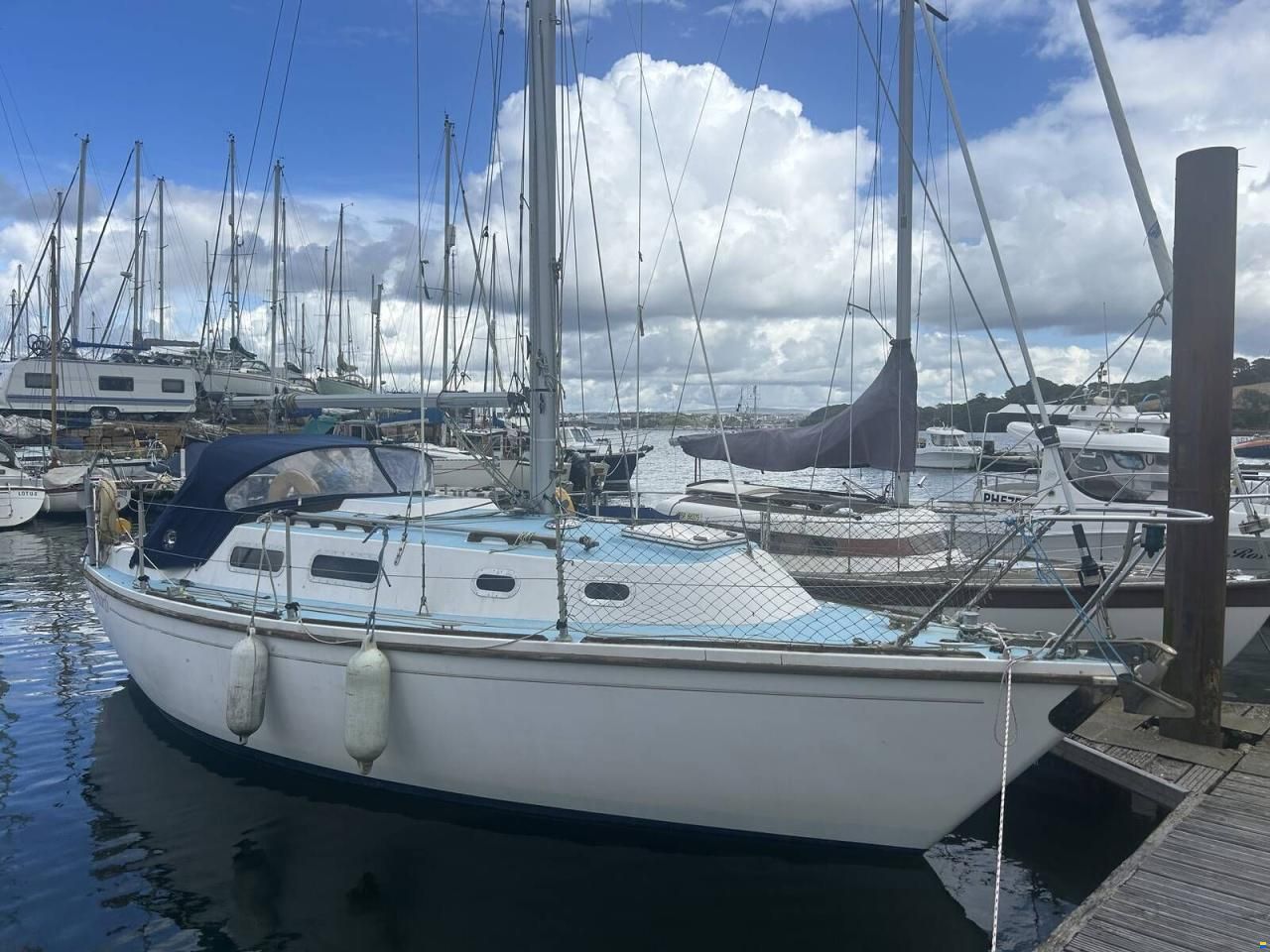 Westerly Griffon
