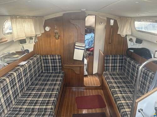Westerly Griffon