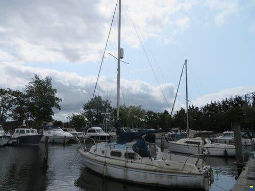Westerly Pageant