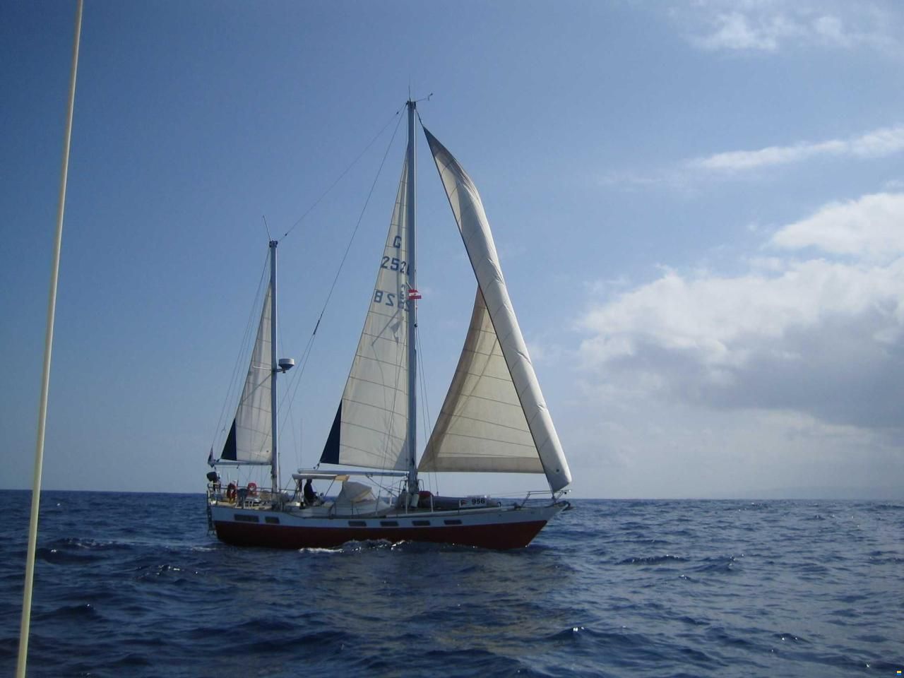 Wauquiez Amphitrite
