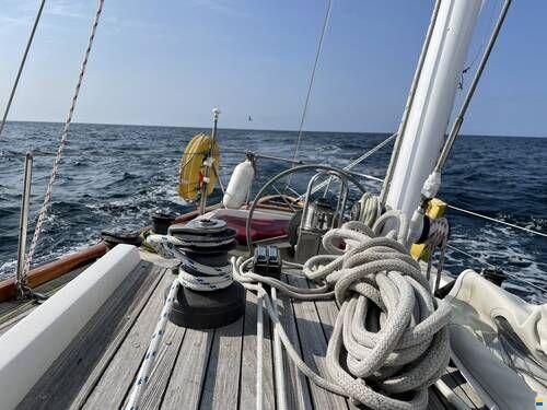 Frers 44
