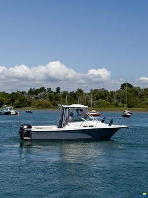 Bayliner Trophy 2102 walkaround