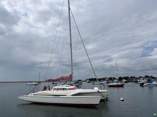Dragonfly 800