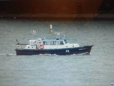 Nelson 40