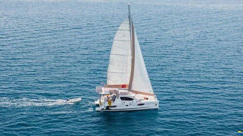 Leopard 38