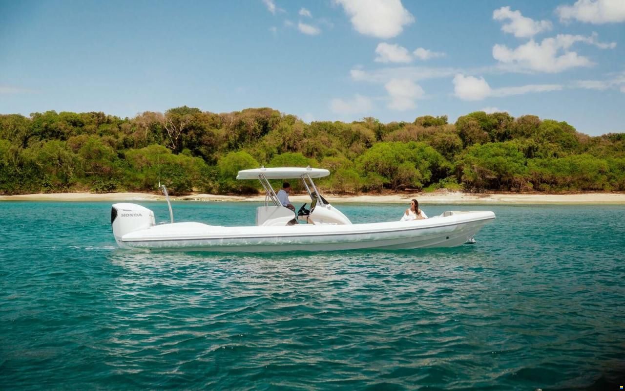 Scorpion Twisted 34T