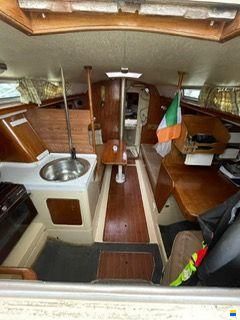 Nicholson 31