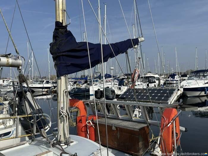 Neptune 33