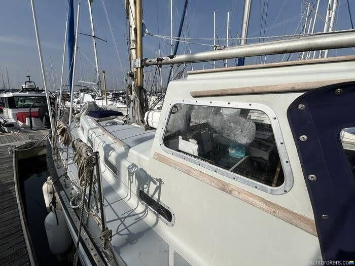Neptune 33
