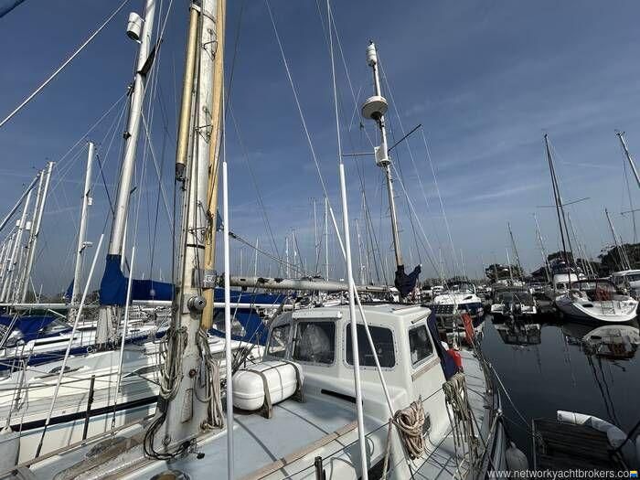 Neptune 33