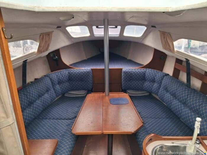 Hunter Ranger 245
