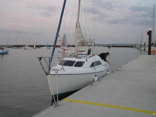 Hunter Ranger 245