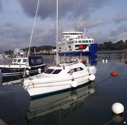 Hunter Ranger 245