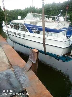 Broom Ocean 37