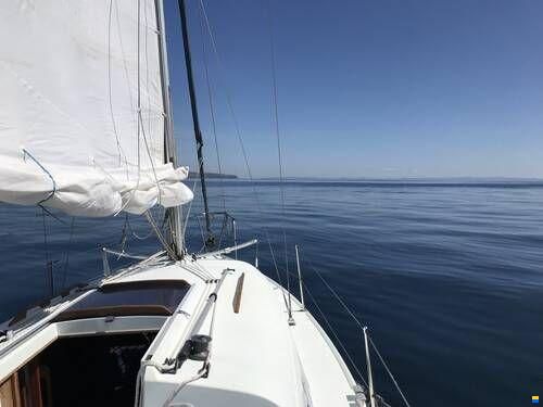 Hunter Ranger 265