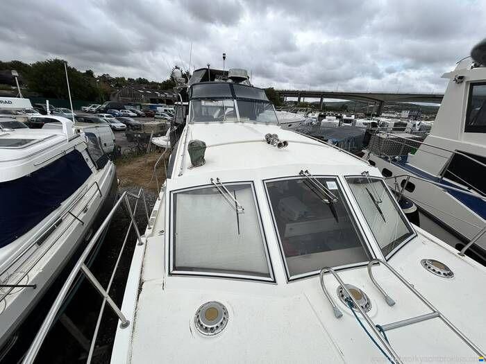 Broom Crown 37