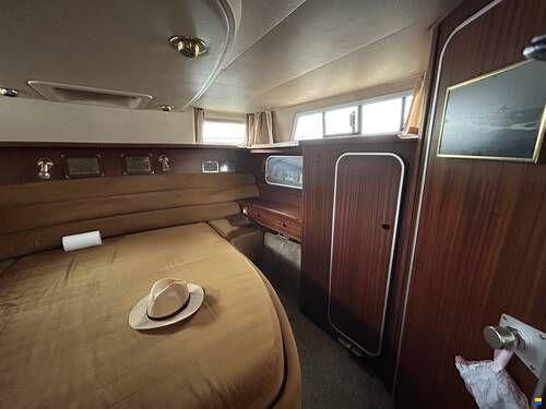 Broom Crown 37