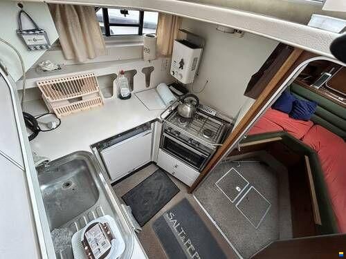 Broom Crown 37