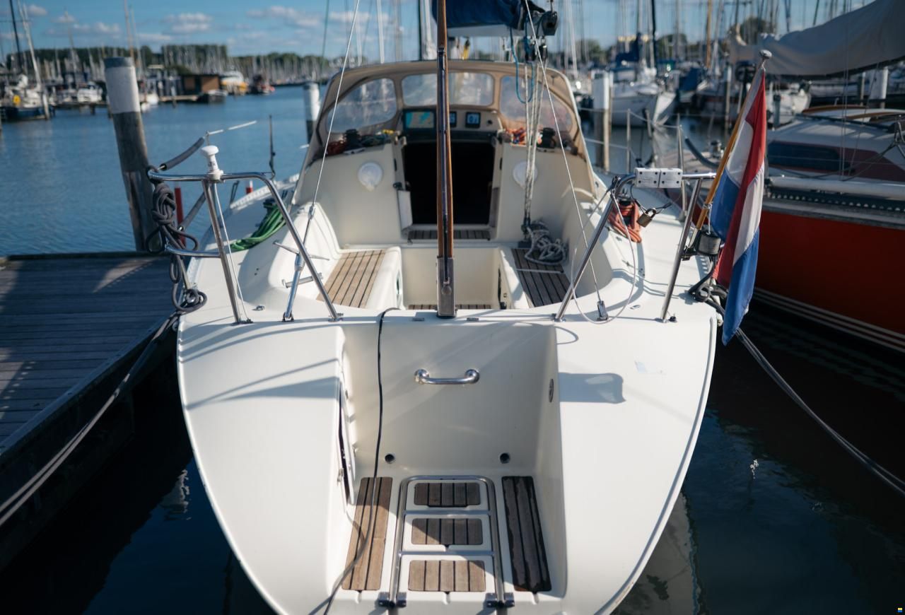 Elan 33