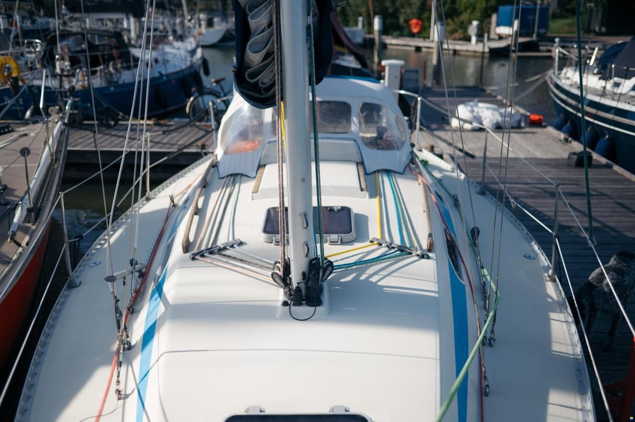 Elan 33