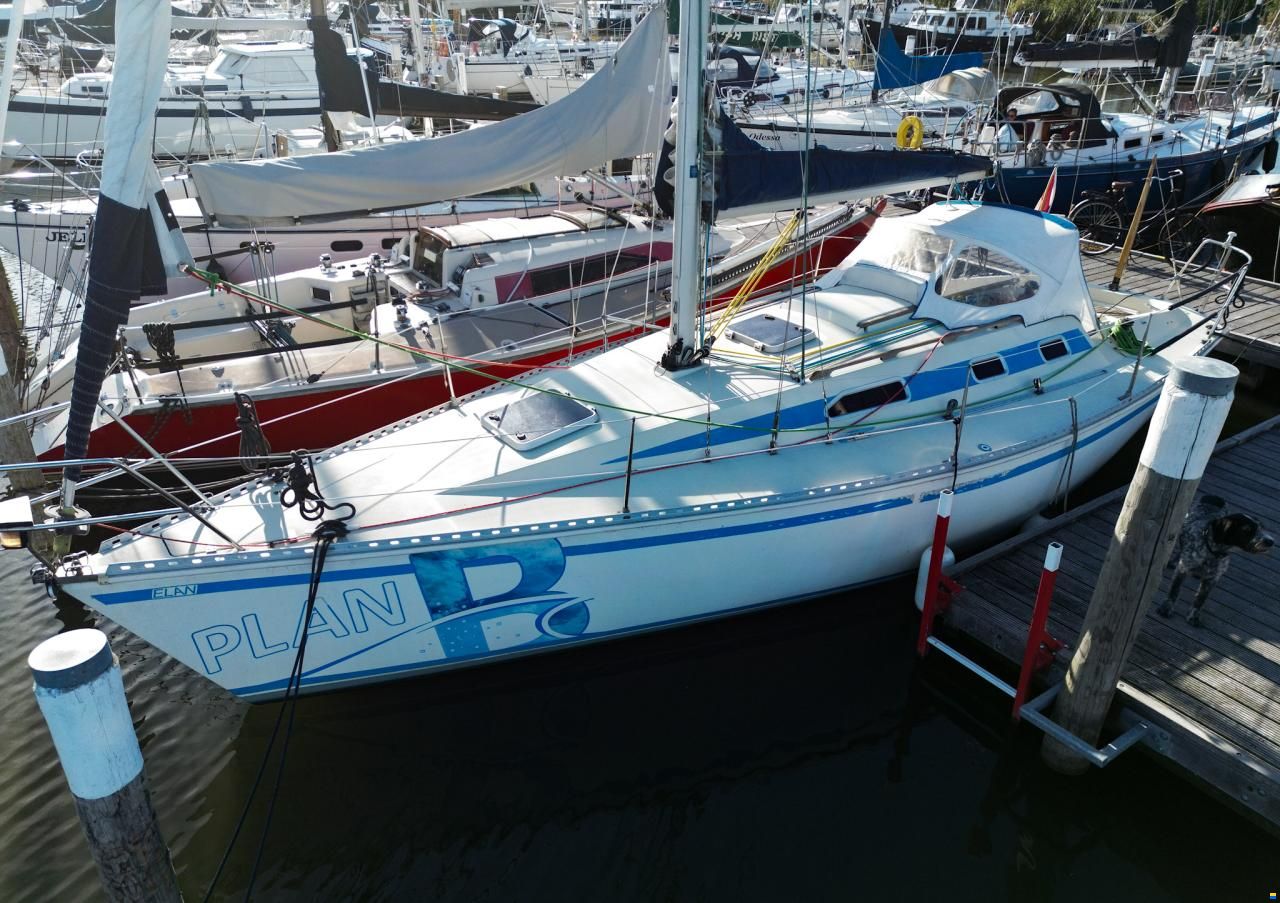 Elan 33