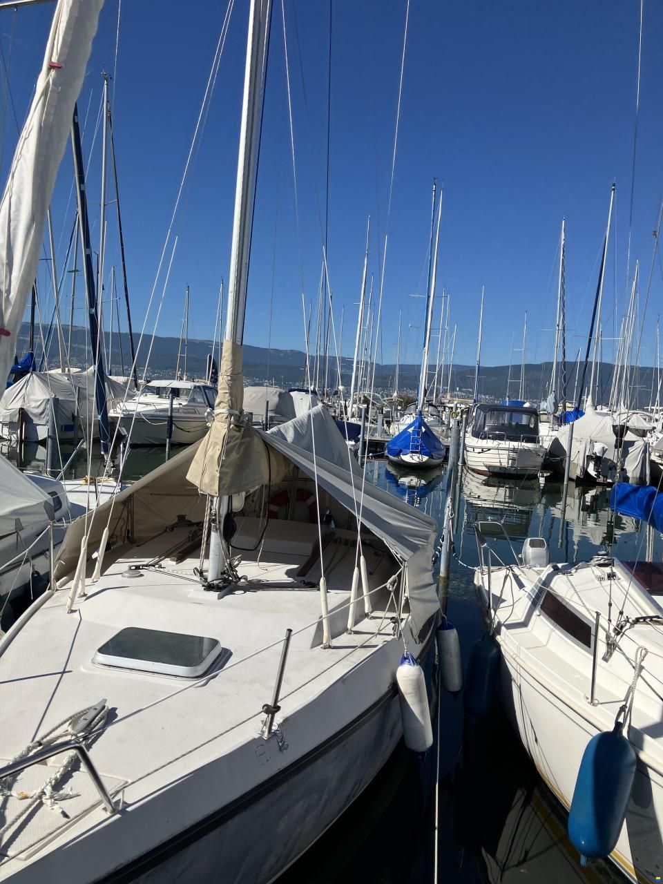 Jeanneau Daysailer Brio Q