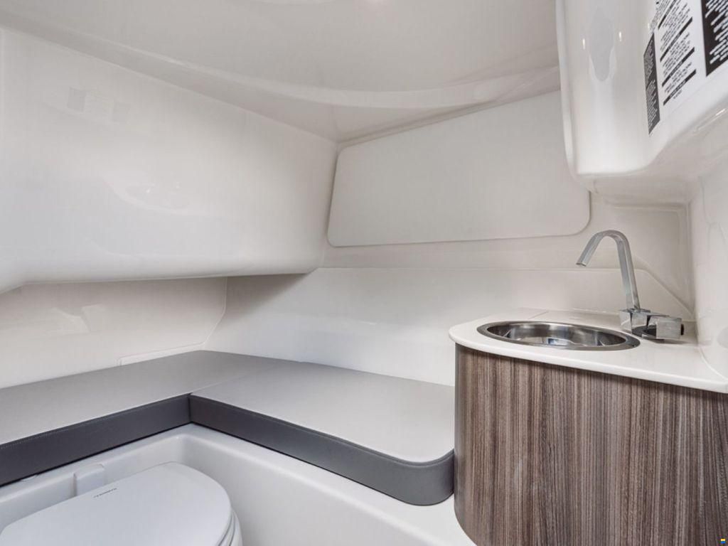 Sea Ray SDX 250