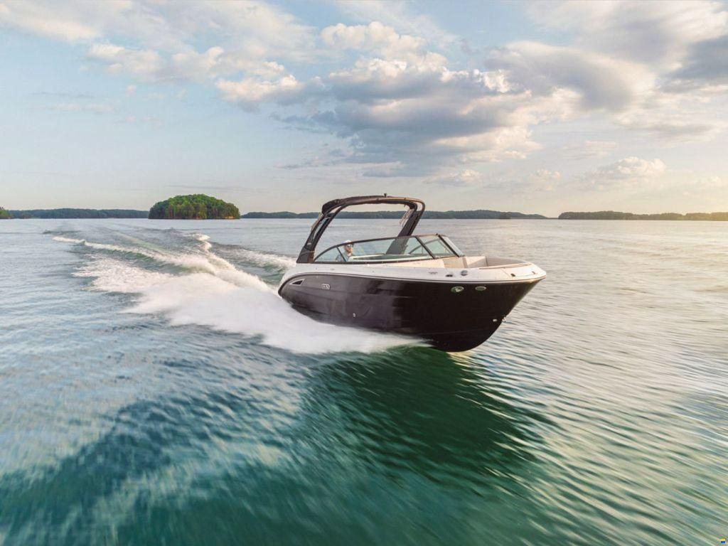 Sea Ray SDX 250