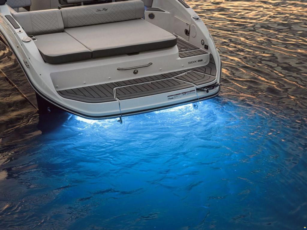 Sea Ray SDX 250